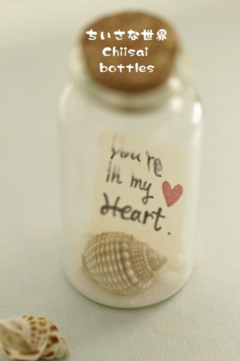 mini shell message in bottle