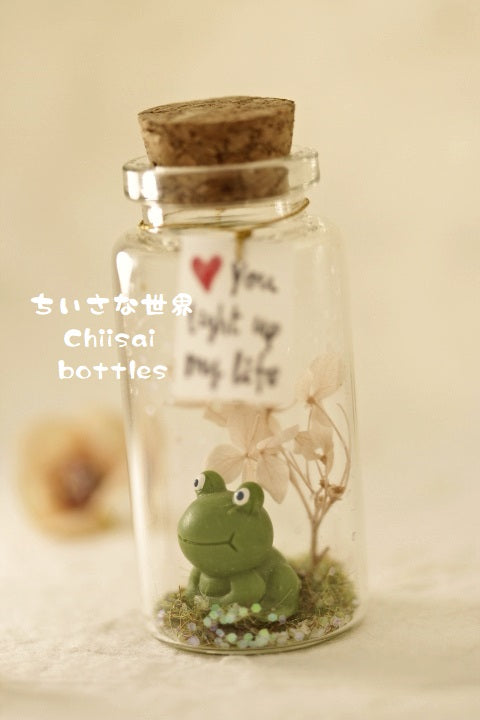 Frog message in bottle