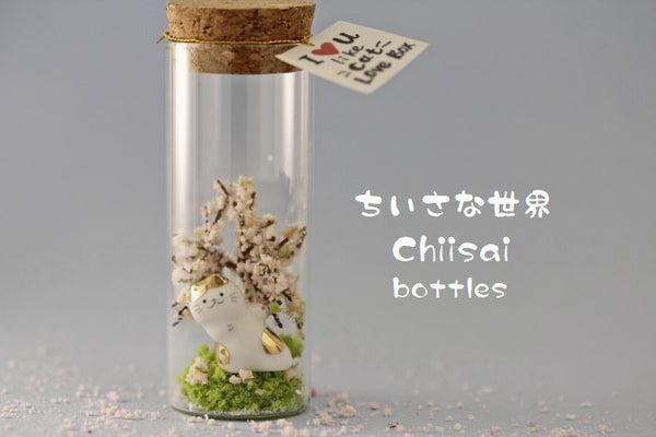 lucky cat Sakura message in bottle