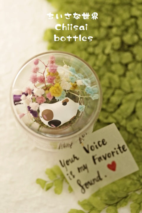 kitty flower message in bottle