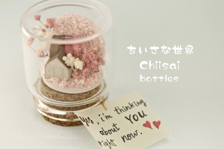 Sakura tree flower message in bottle