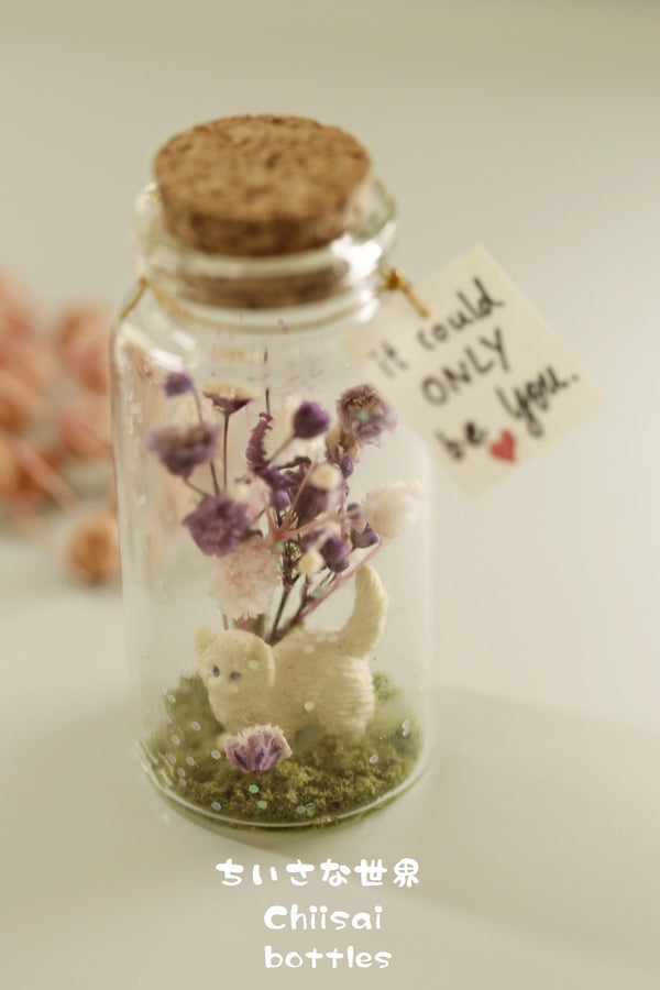 kitty message in bottle