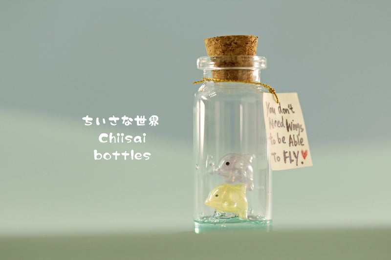 dolphin lover message in bottle