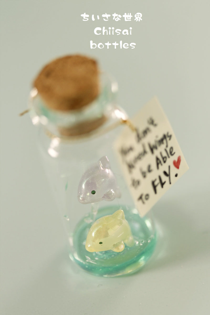 dolphin lover message in bottle